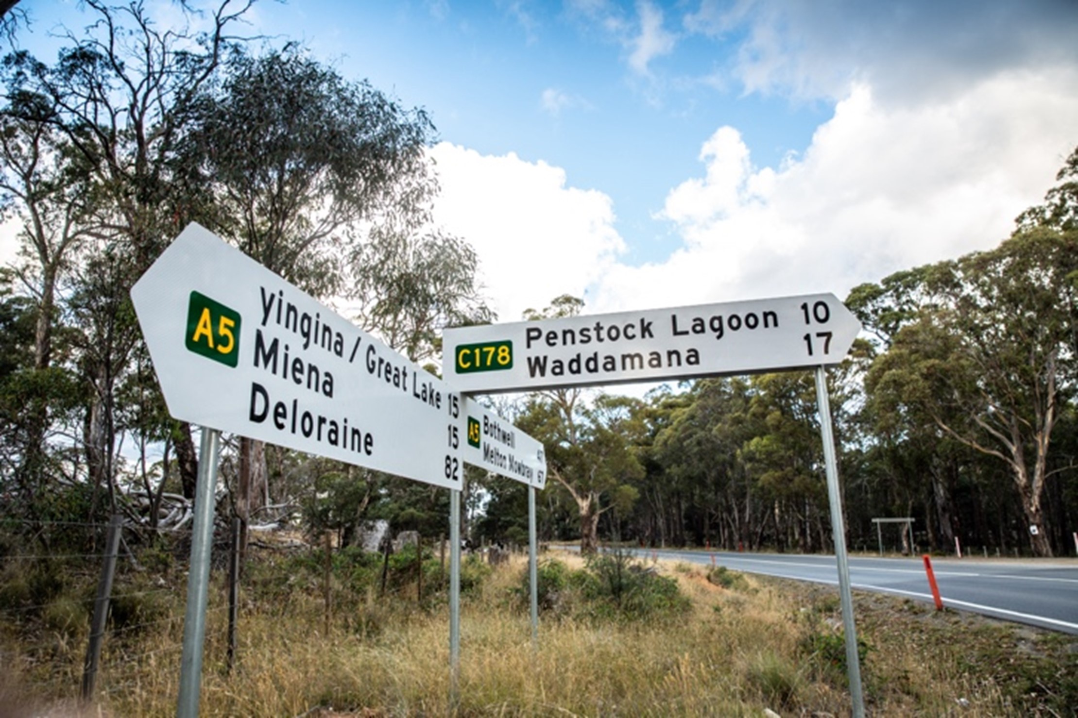 Read more about the article LANGUAGE OF THE LAND